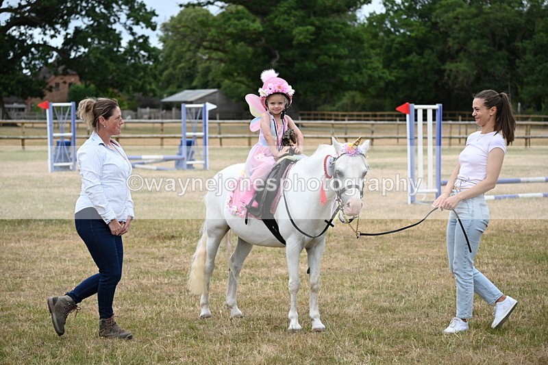 WJ6_4979 - Class 11 Fancy Dress