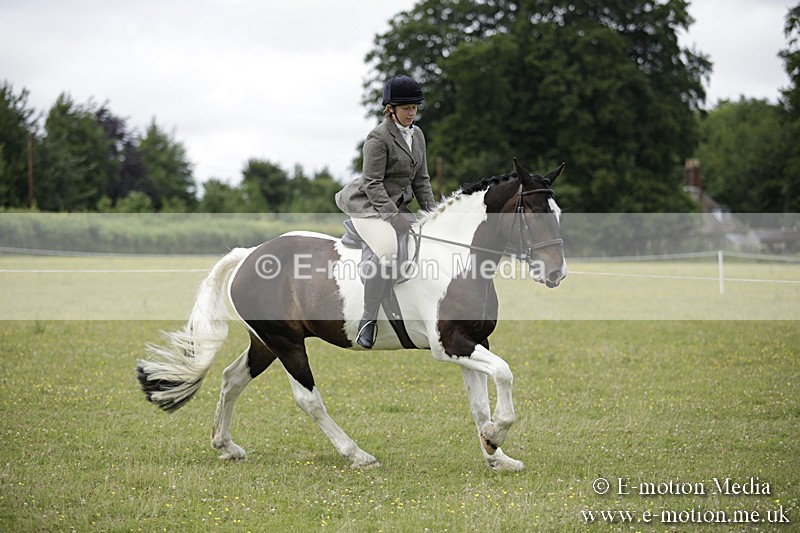 BVR160717-1885 - Ring 1 BVRC Show 16/07/17