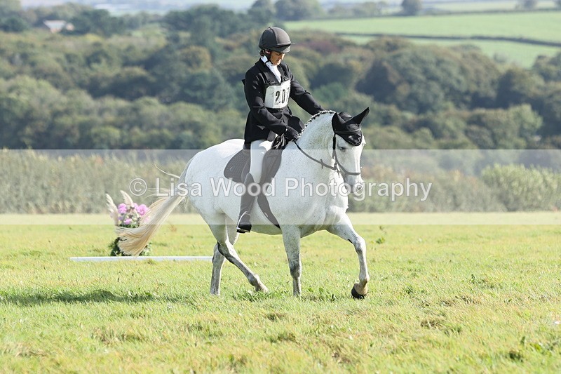 JPP_8089 - Class 2A: Trekenning Open: Dressage