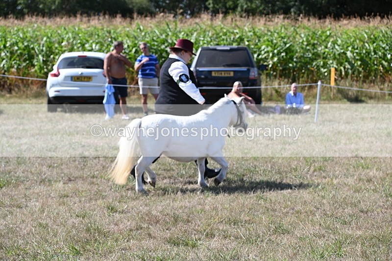 WJ6_4798 - Class 17 Mountain & Moorland