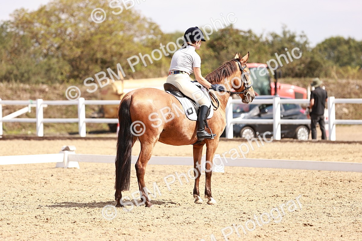 SBM_018571 - Class 17 - Novice 6