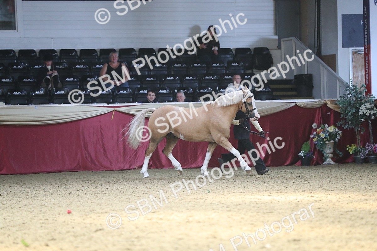 SBM_15231 - Class 501 M&M IH Supreme Final
