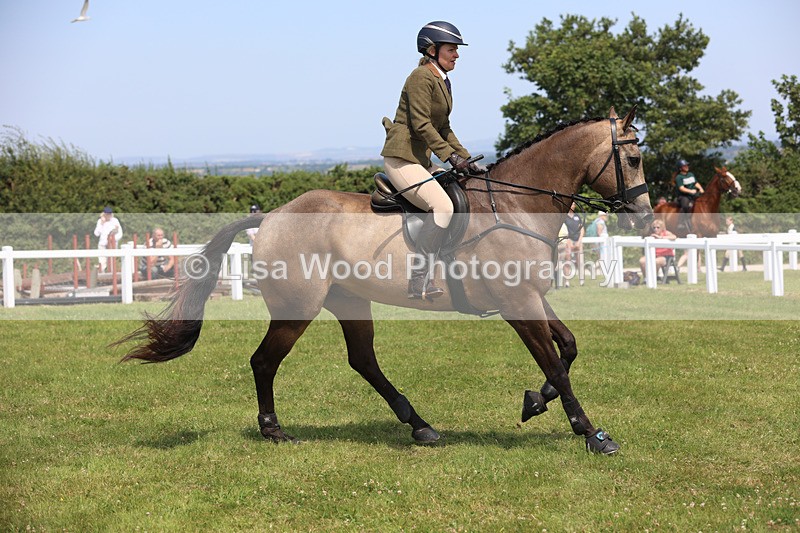 JPP_3257 - Class 22: Working Hunter 70cm