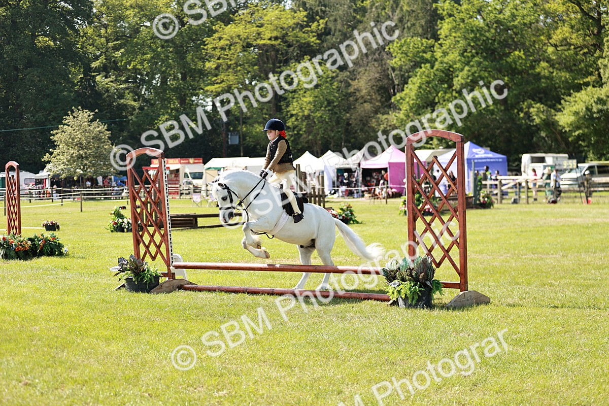 SBM_12750 - Class 106-107 - BSPS LIHS Working Sports Pony