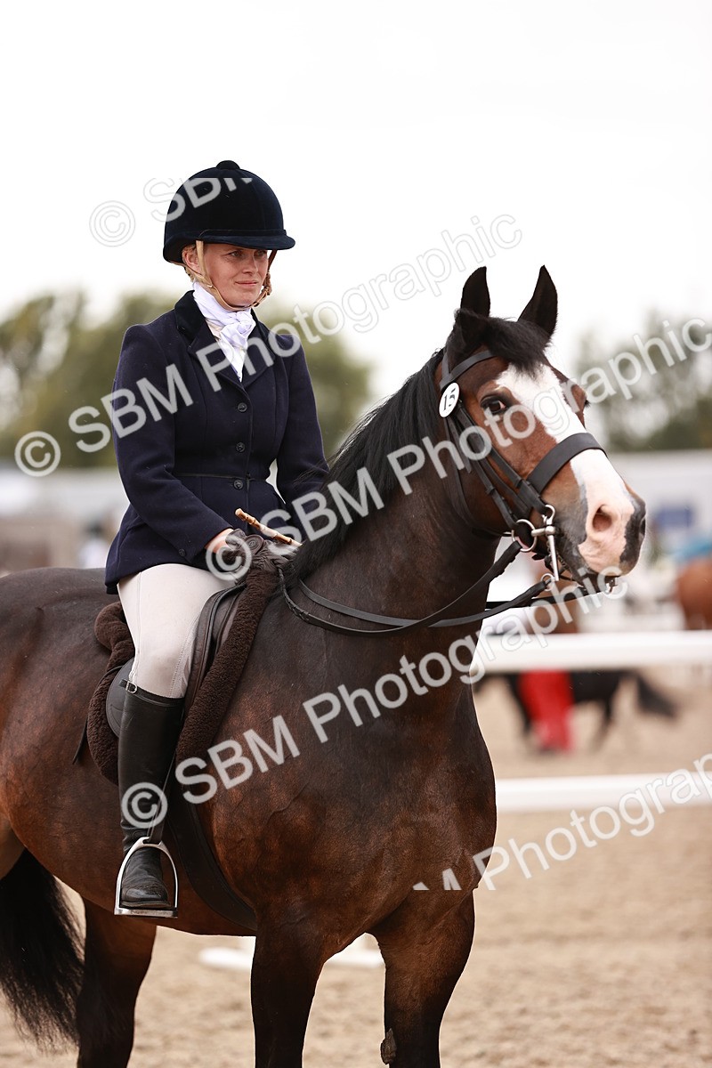 SBM_19039 - Class 422 - Ridden M&M