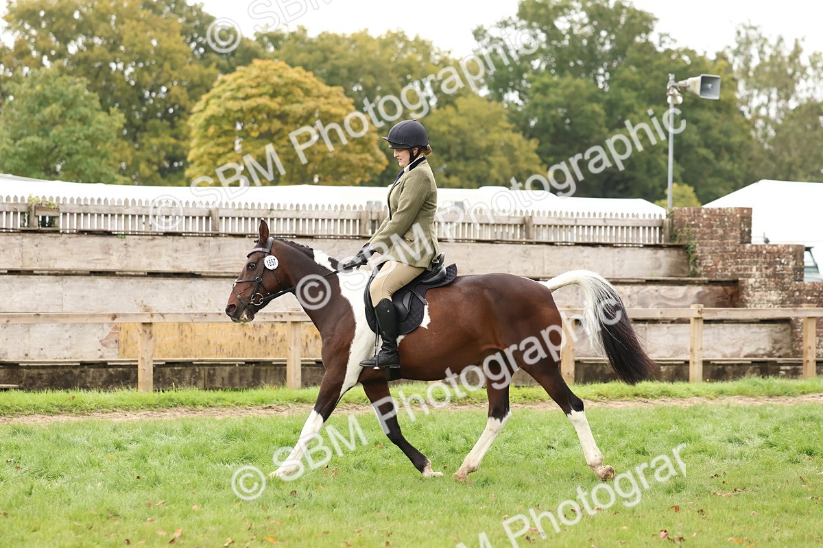 SBM_59941 - S36 - Rehabiliated Rescue Horse & Pony In Hand & Ridden