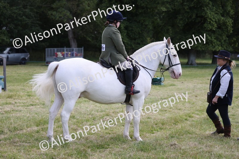 20260614-0776 - Class 20 - Beginners Working Hunter Pony