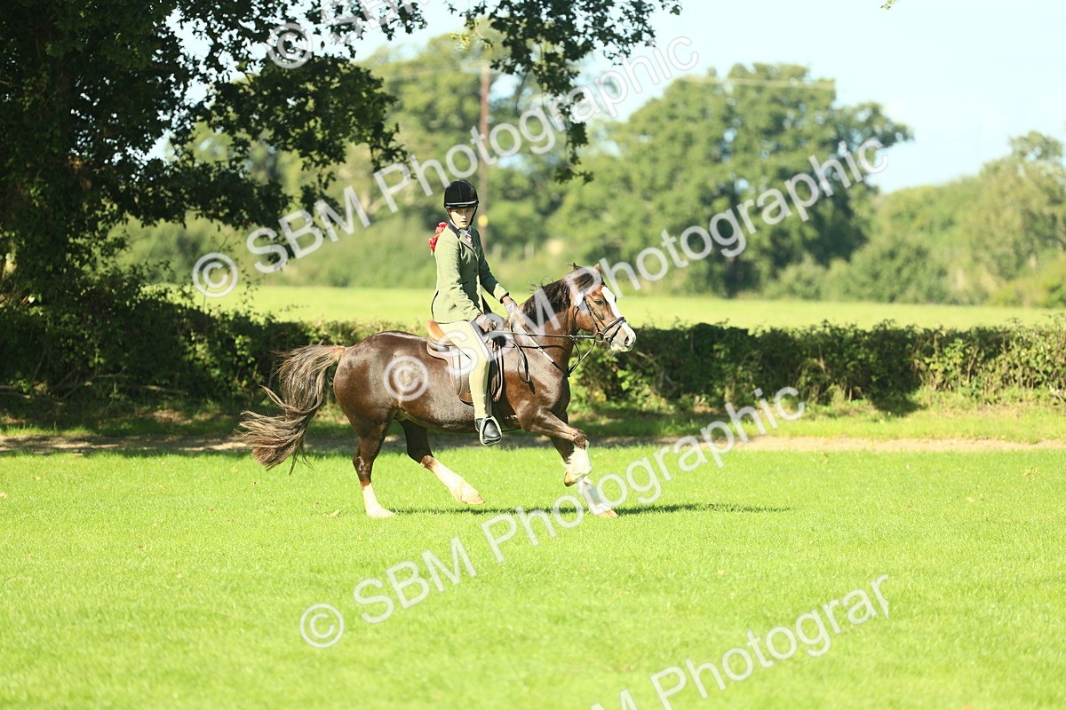 SBM_37463 - S29 - Novice & Newcomers Working Hunter Pony