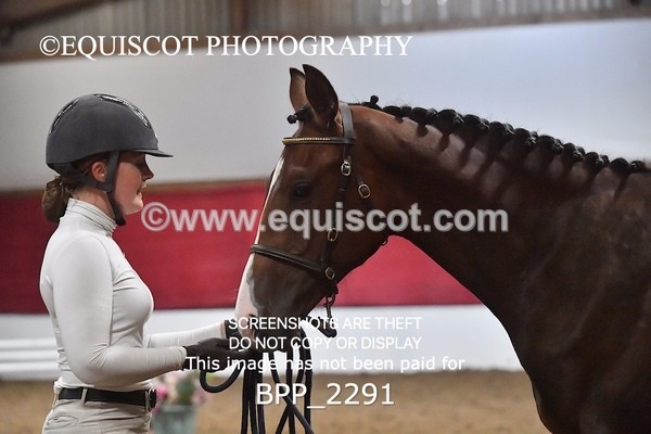 BPP_2291 - AFTERNOON 12.30 - 3.30PM