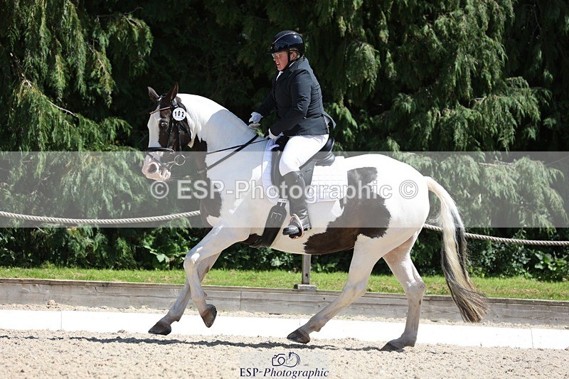 230811-135516-01920 - Cls 1 Prelim Bronze 13.30 to 14.50 break