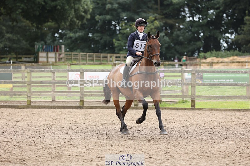 240804-124048-13345 - 513-Iesha_Wilding-ROYAL_TREASURE