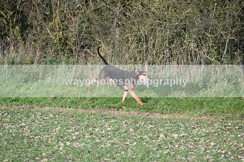 WJ7_3511 - Camera A