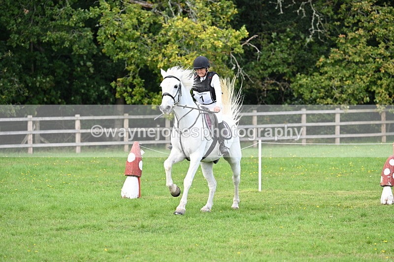 WJ7_4069 - 40cm Time 10:44 to 10:52