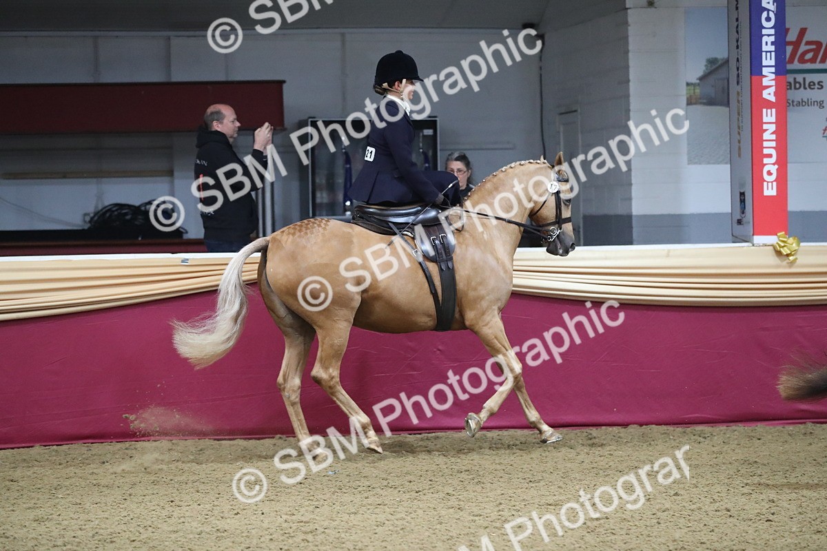 SBM_09280 - Class 101 Equitation (best rider), Junior