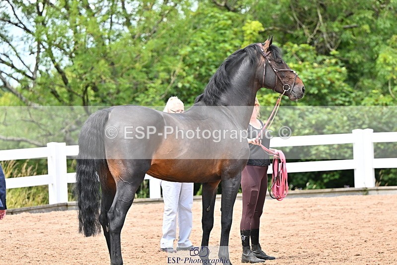 240718A-105321-01895 - Trot Up 1pm to 2pm