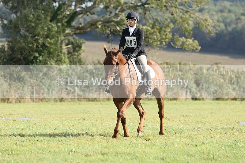 JPP_8014 - Class 2A: Trekenning Open: Dressage
