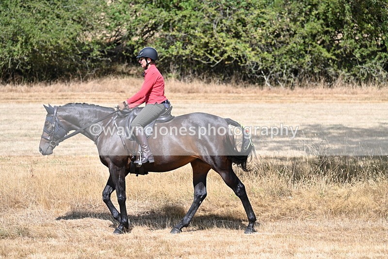 WJ7_8613 - Time 13:13 to 13:14