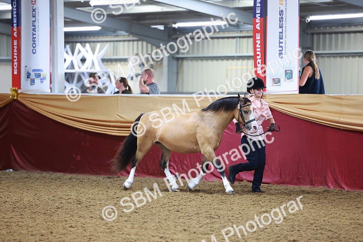 SBM_14672 - Class B - Junior Champ 11 to 16 Years