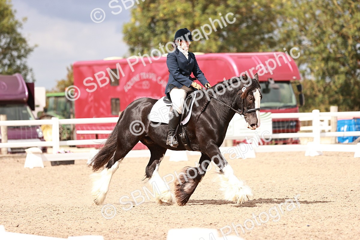 SBM_06206 - Class 37 - Novice 5