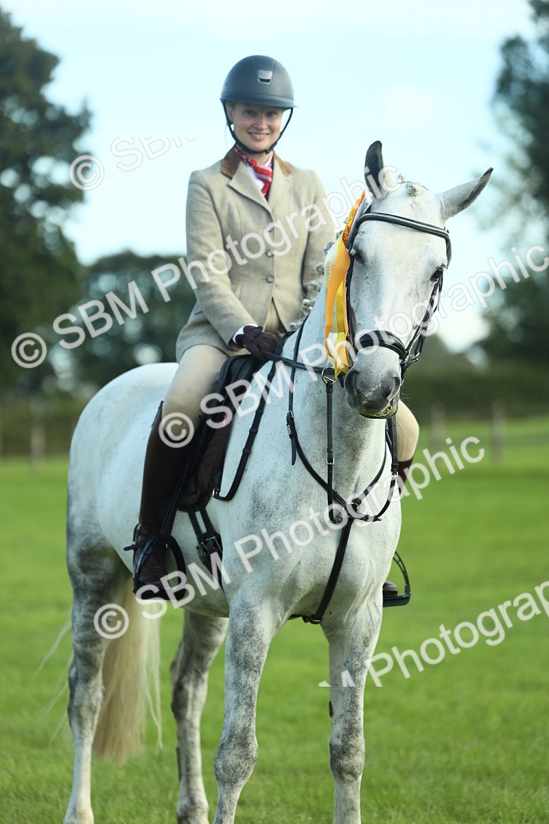 SBM_49955 - S32 - Novice & Newcomers Working Hunter