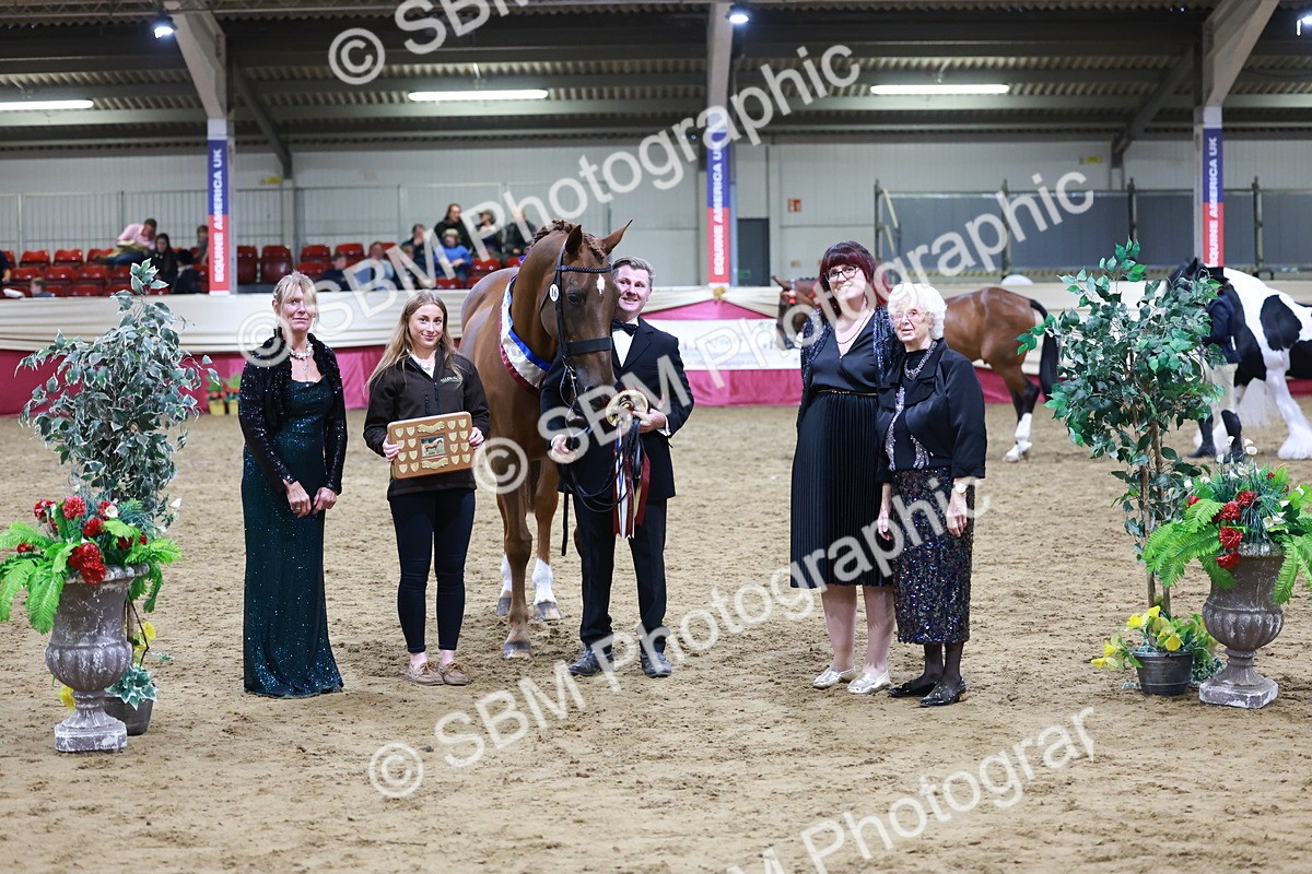 SBM_20510 - Class G - IH Large (over 148cm)Champ