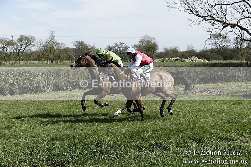 PtP 250317 36 - V.W.H. Hunt Point-to-Point Siddington 25/03/17