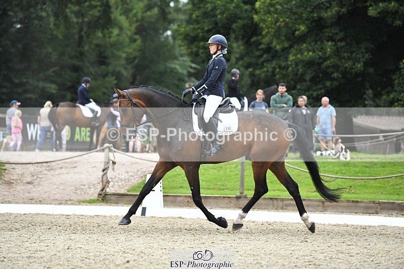 230812-124458-04206 - Cls 6 Novice Silver 12.10 to End