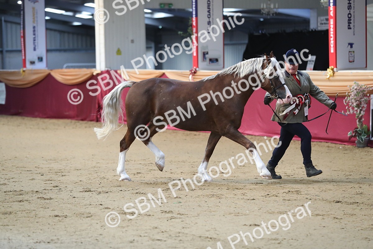 SBM_01402 - Class 3a Area IH Pre Vet
