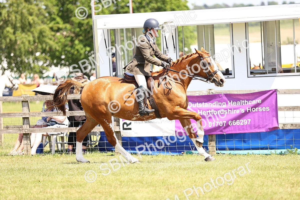 SBM_15181 - Class 79-80 - LIHS BSHA Rising Star Ridden Hunter