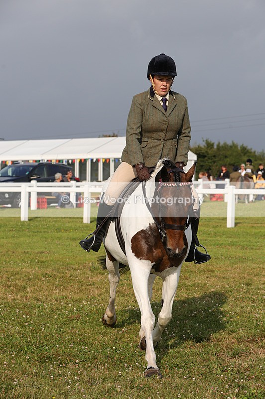 1X9A2914 - Class 25: Ridden Plaited Coloured Horse