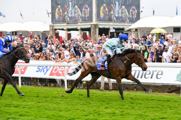 170623-Race 3-Quickthorn-0469 - Race 3 3.05pm Sky Bet Race To The Ebor Grand Cup Stakes
