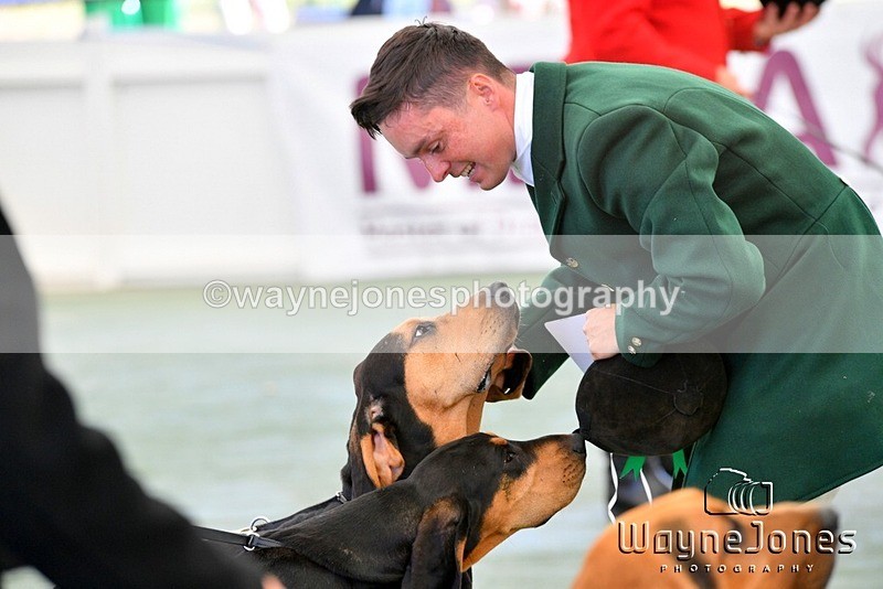 WJ5_0579 - Berks & Bucks at the Great Yorkshire Show 2025