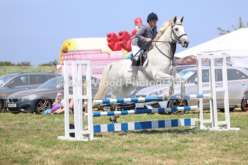 3E7A4365 - Class 10: Senior British Novice/90cm open