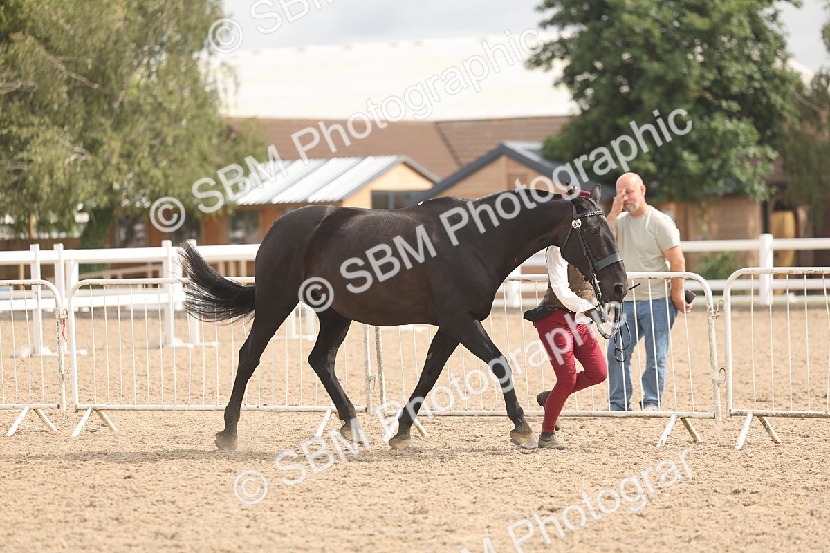SBM_04919 - Class 20 - IH Veteran