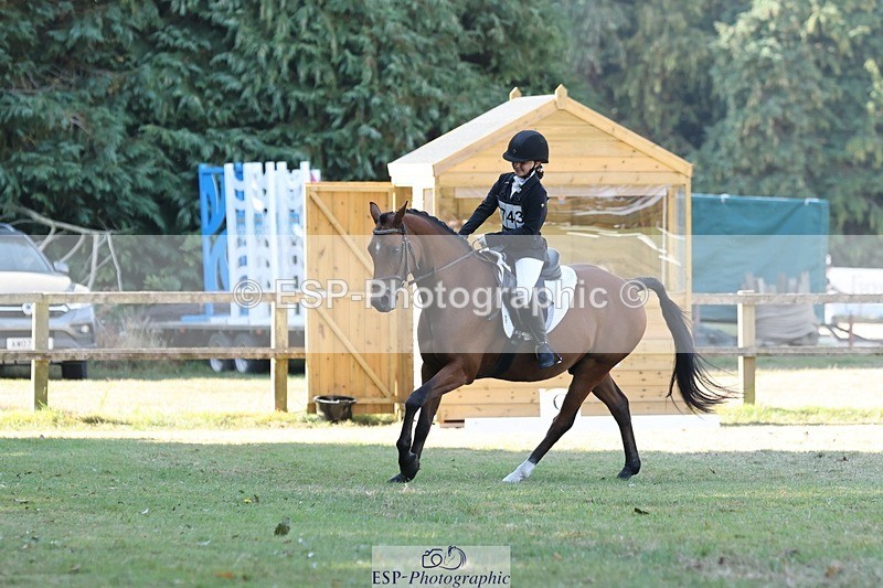 250823A-102624-27028 - Arena C