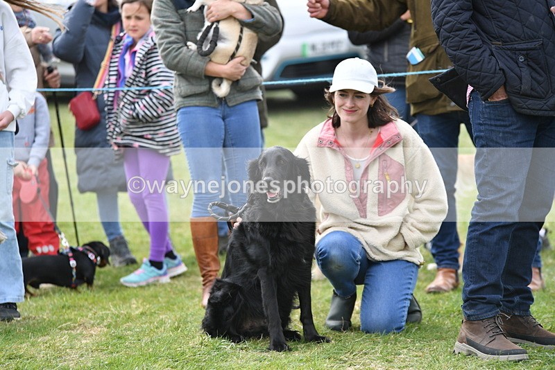 WJ5_0136 - Class 5 Best Veteran / 7 years & over