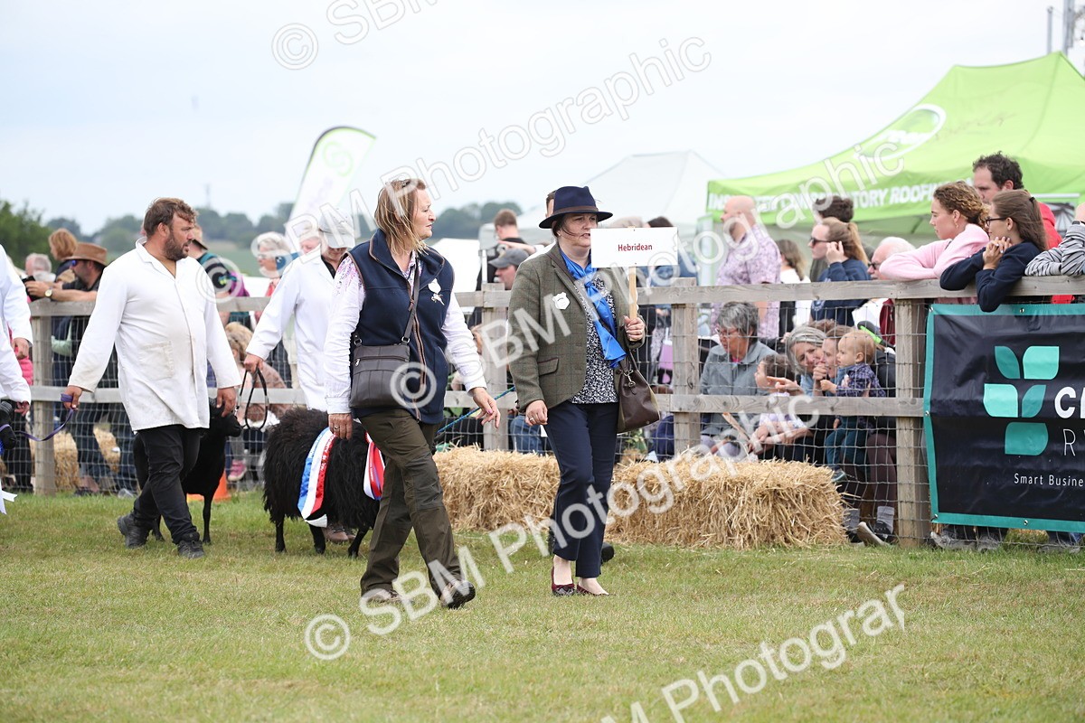 SBM_07773 - Grand Parade