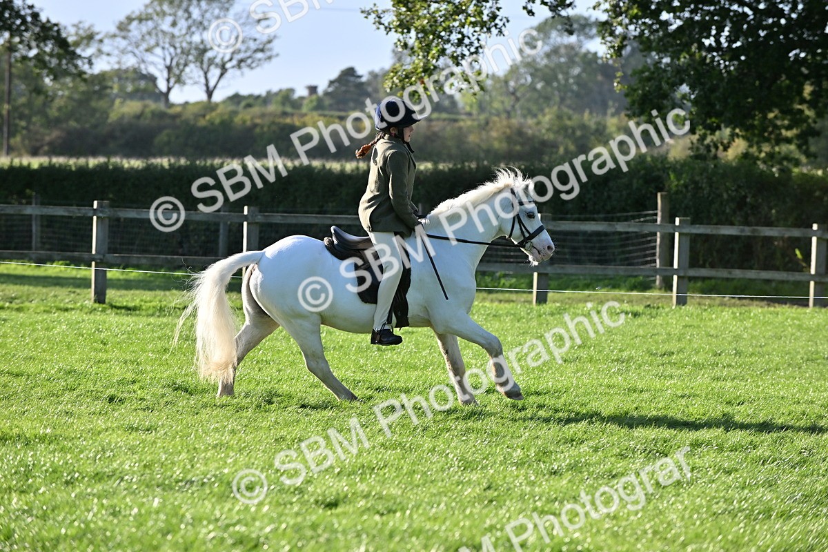 SBM_53048 - S23 - First Ridden Mountain & Moorland Pony