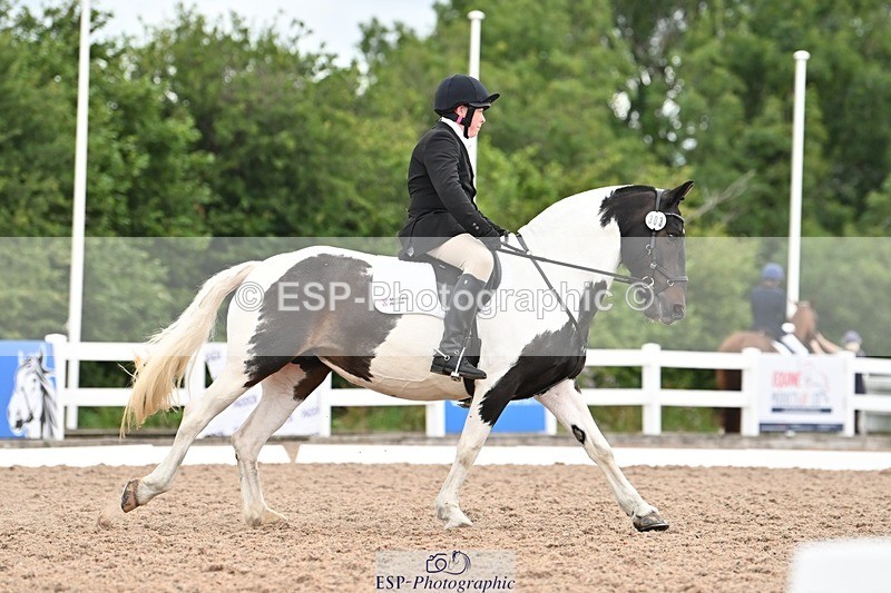 250705-175535-04259 - N2 Section BDNOV2 16.29 to 17.46