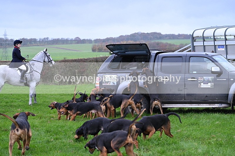 WJ7_8872 - Meet Staff & Hounds