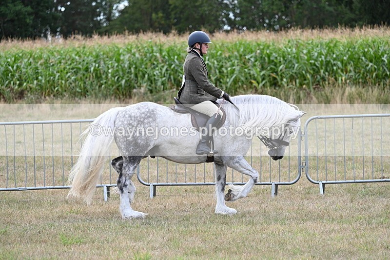 WJ7_5268 - Class 12 Ridden Cob