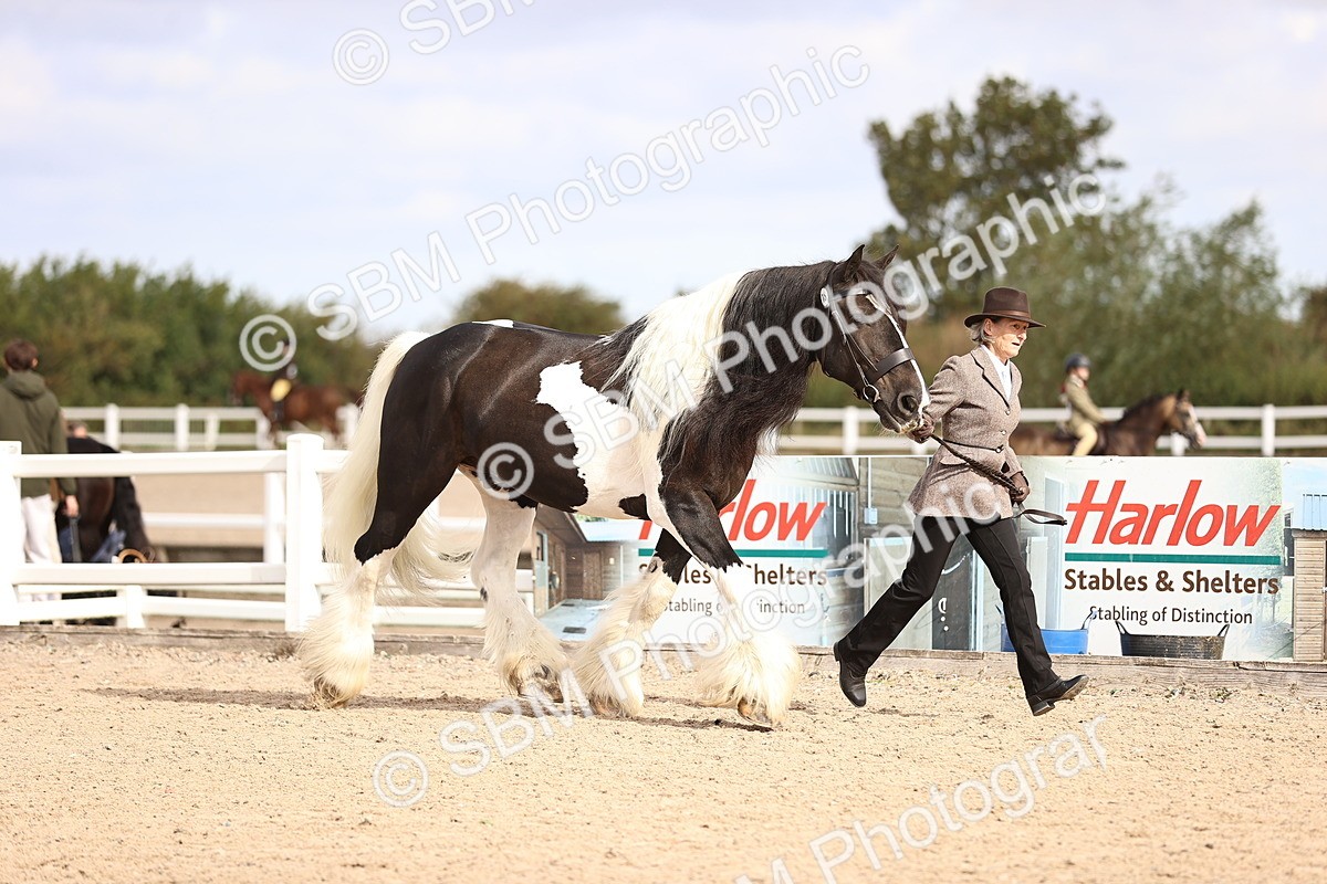 SBM_09285 - Class 404 - IH Traditional - Native Cob