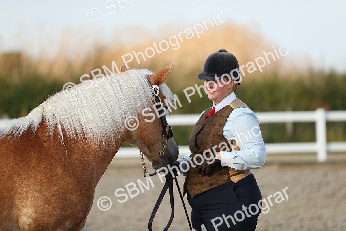SBM_09041 - Class 29 IH Veteran Pony