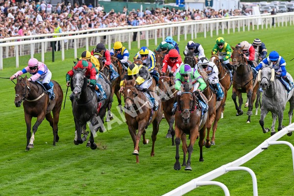 260725-Race 6-Billyb-0803 - Race 6 4.25pm Sky Bet Go-Racing-In-Yorkshire Summer Festival Handicap