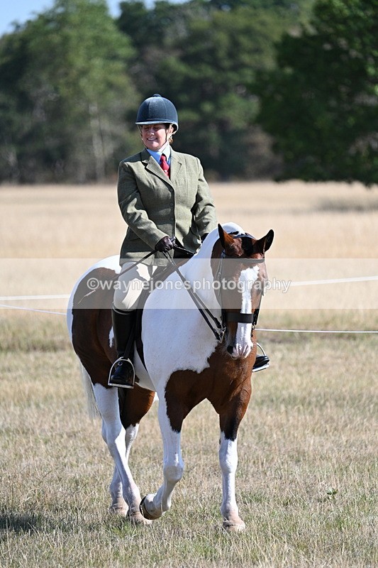 WJ7_3055 - Class 8 Ridden Tack & Turnout