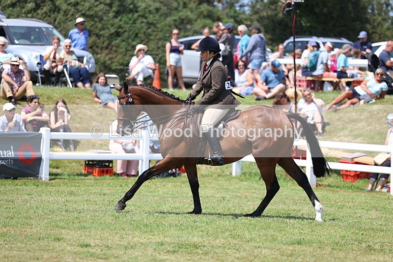 3E7A9356 - Class 12: Open Racehorse to Show Horse