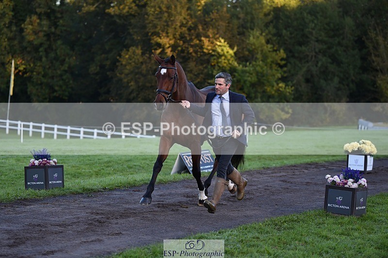 231022-083900-21274 - 683-ALVESCOT.FIVE.STAR-Mark.Ford-TrotUp+SJ