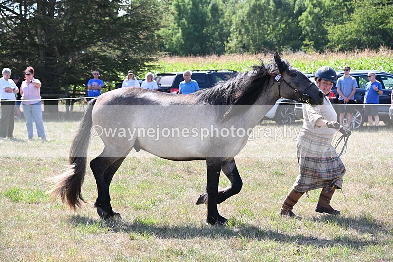 WJ6_5000 - Class 17 Mountain & Moorland