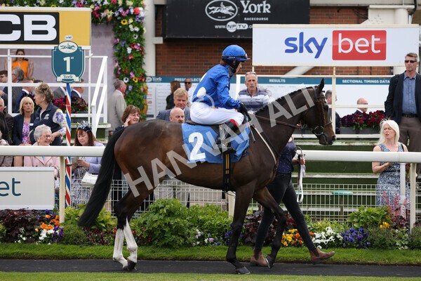 yr11062022r2-49 - Race 2 2.00pm Queen Mother's Cup