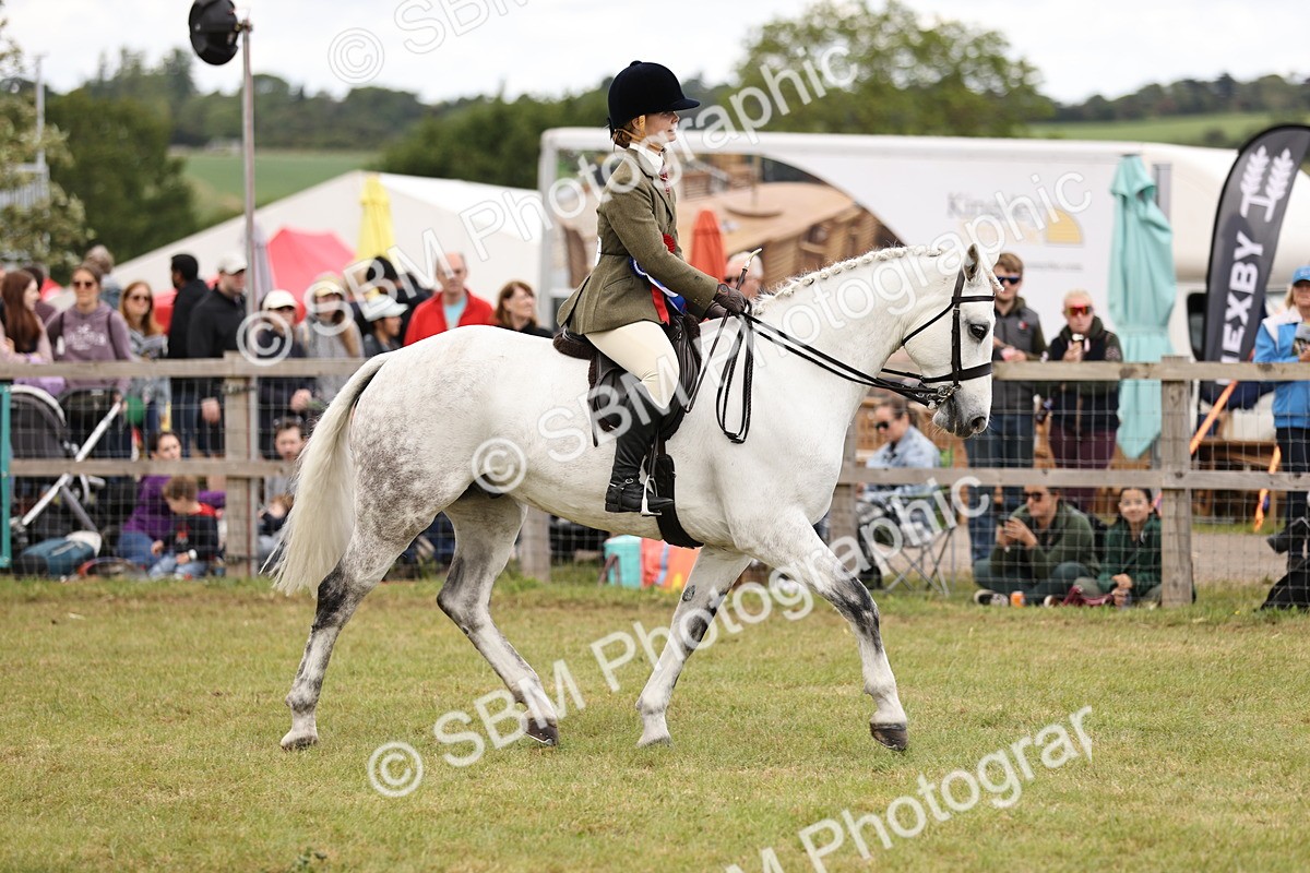 SBM_14836 - Class 88-89 - LIHS BSHA Rising Star of Ridden Hunter Type
